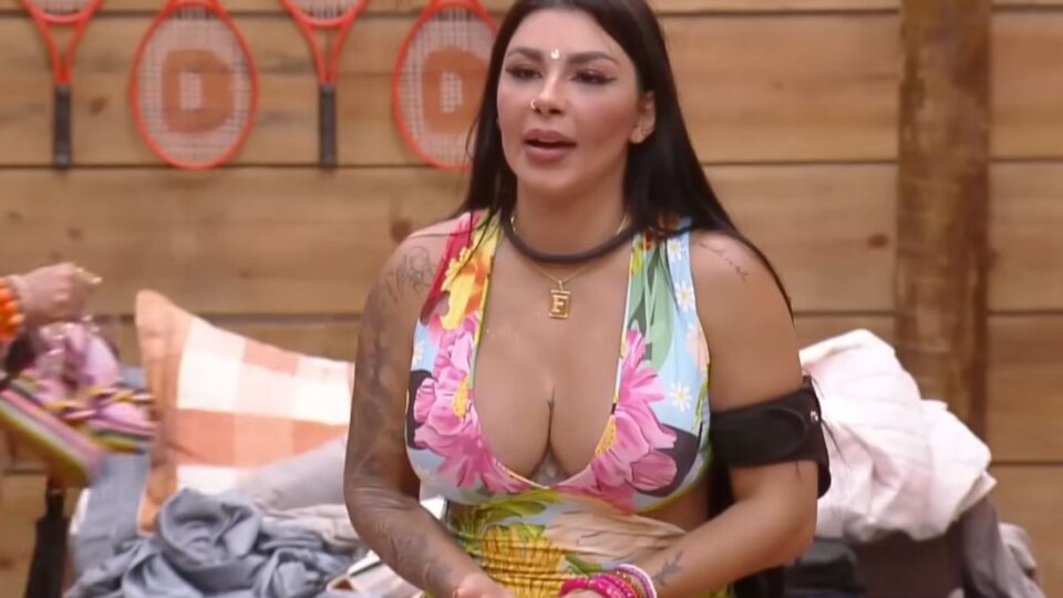 Resumo festa a fazenda 15