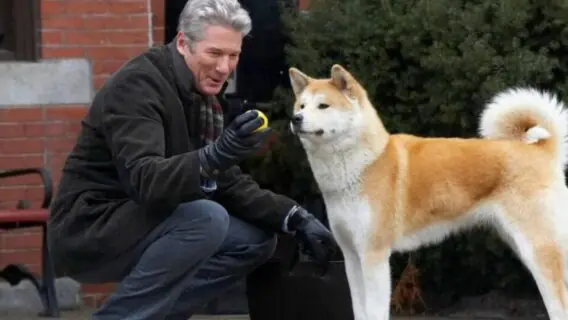 Sessão da Tarde da semana: filmes de 23 a 27 de outubro de 2023