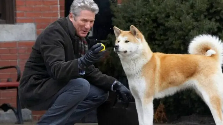 Sessão da Tarde da semana: filmes de 23 a 27 de outubro de 2023