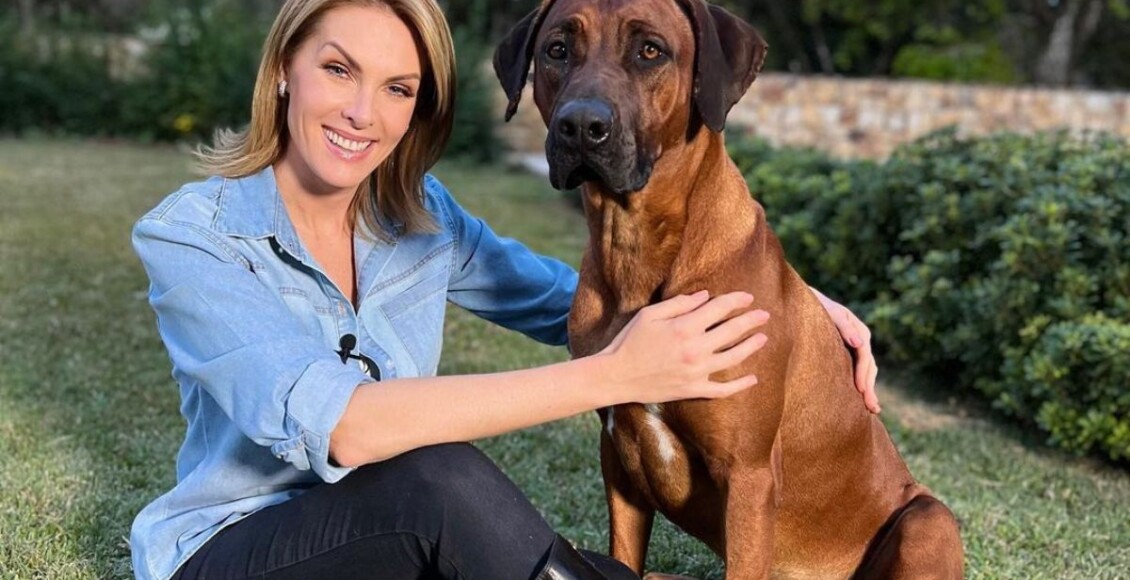 Cachorros ana hickmann