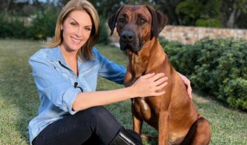 Cachorros de Ana Hickmann: os filhos de 4 patas da famosa Cachorros ana hickmann