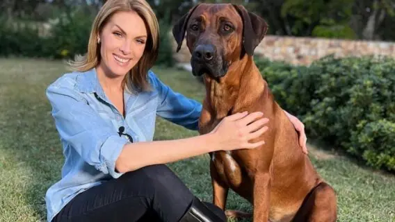 Cachorros de Ana Hickmann: os filhos de 4 patas da famosa