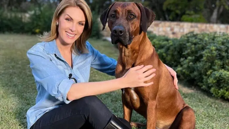 Cachorros de Ana Hickmann: os filhos de 4 patas da famosa