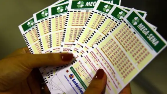 Resultado da Mega-Sena agora: números concurso 2658 (21/11)