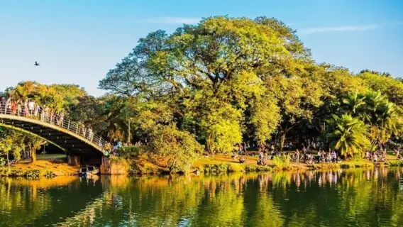 Parque Ibirapuera abre no Natal, mas muda horário; veja