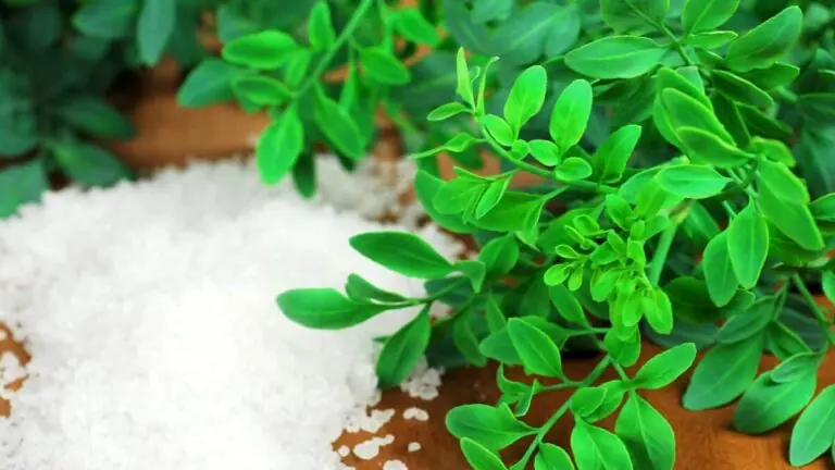 5 simpatias de Ano Novo para atrair prosperidade em 2024