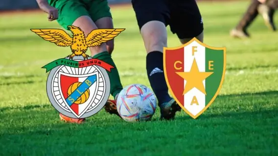 Estrela Amadora x Benfica: onde assistir o jogo do Benfica hoje – 29/01