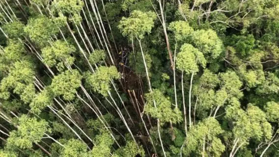 Helicóptero desaparecido dia 31 é encontrado e não há sobreviventes