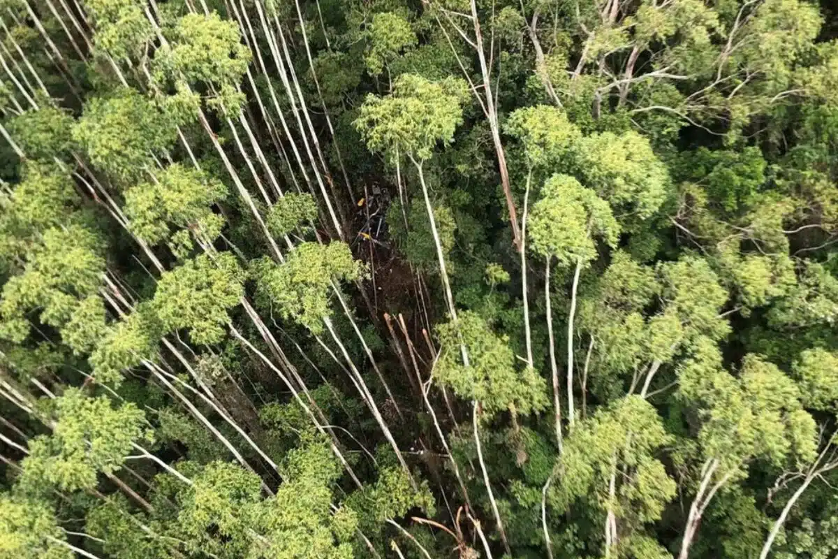 Helicóptero desaparecido é encontrado
