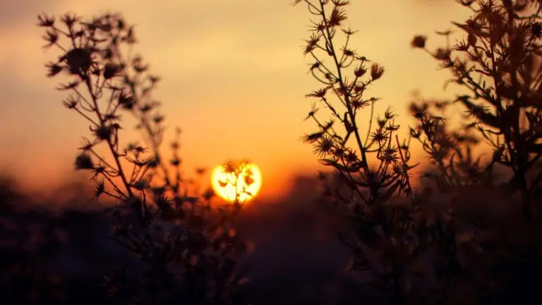 Quando começa o outono em 2024? Veja datas das estações do ano