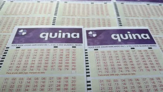 Resultado da Quina 6403: dezenas da loteria de sábado