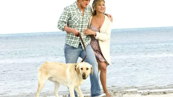 Sessão da Tarde da semana: filmes de 11 a 15 de março de 2024