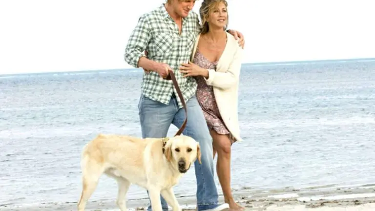 Sessão da Tarde da semana: filmes de 11 a 15 de março de 2024