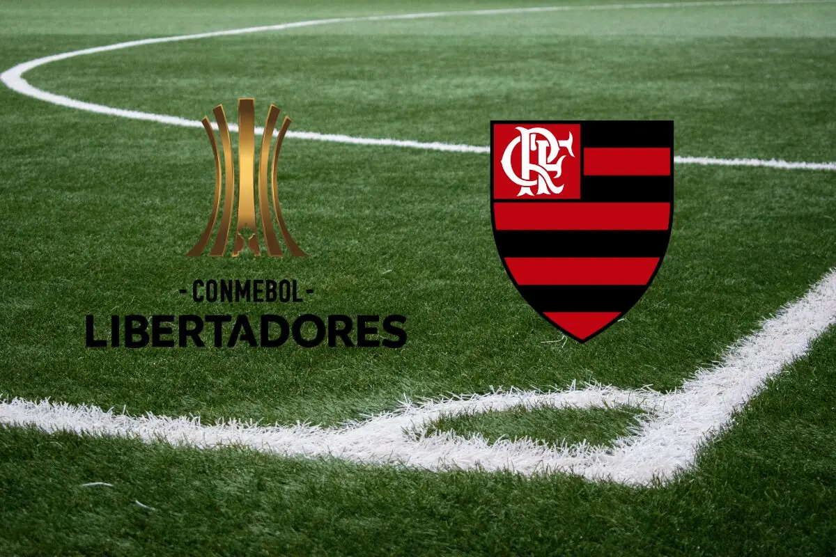 Imagem do jogo do Flamengo hoje