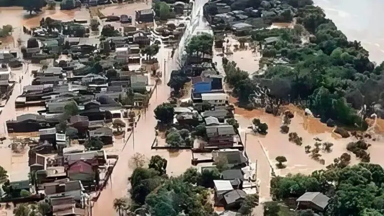 Como ajudar o Rio Grande do Sul? Como fazer  doações para vítimas e animais
