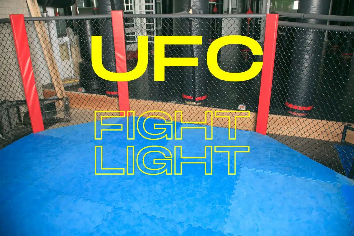 imagem do UFC hoje