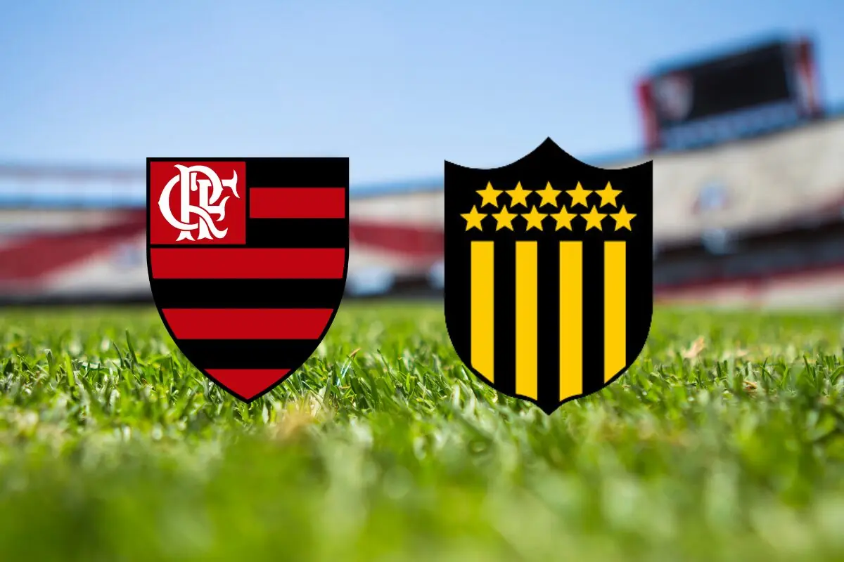 Onde assistir o jogo do Flamengo hoje