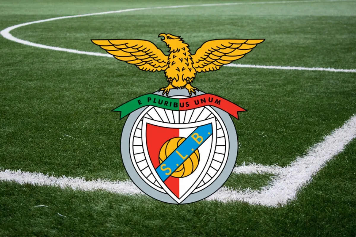 imagem sobre o jogo do benfica