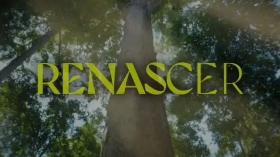 Mais cedo: veja o horário do último capítulo de Renascer hoje