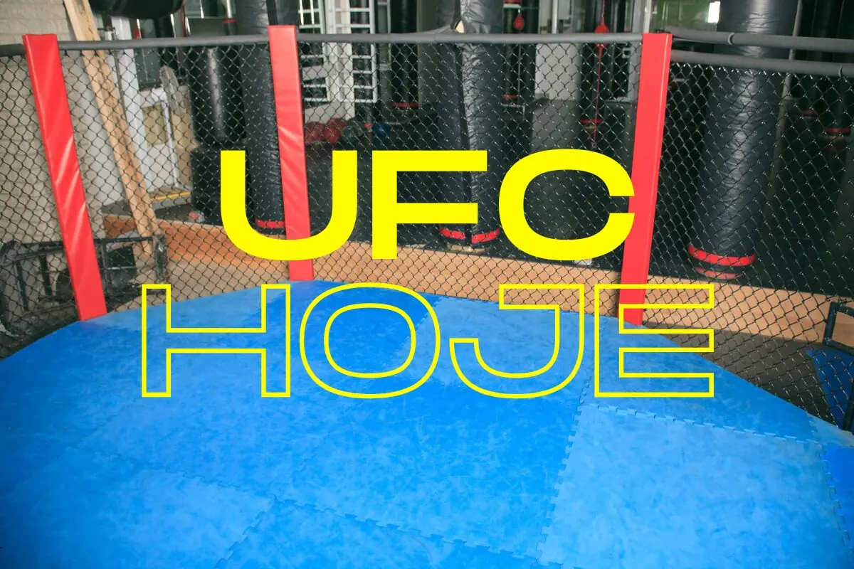 Onde assistir a luta do UFC hoje