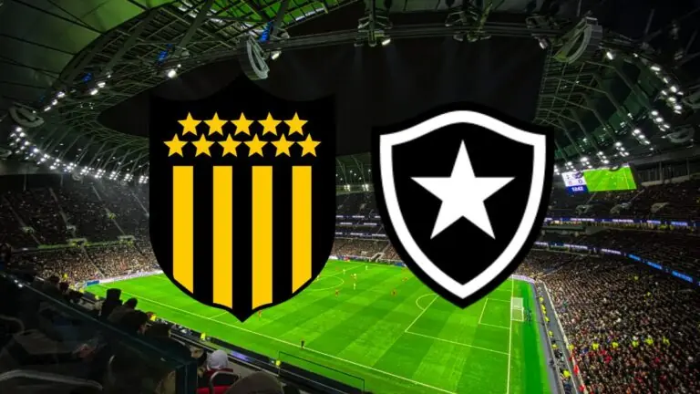 SBT? Onde assistir o jogo do Botafogo com o Penãrol na Libertadores hoje (30/10/24)
