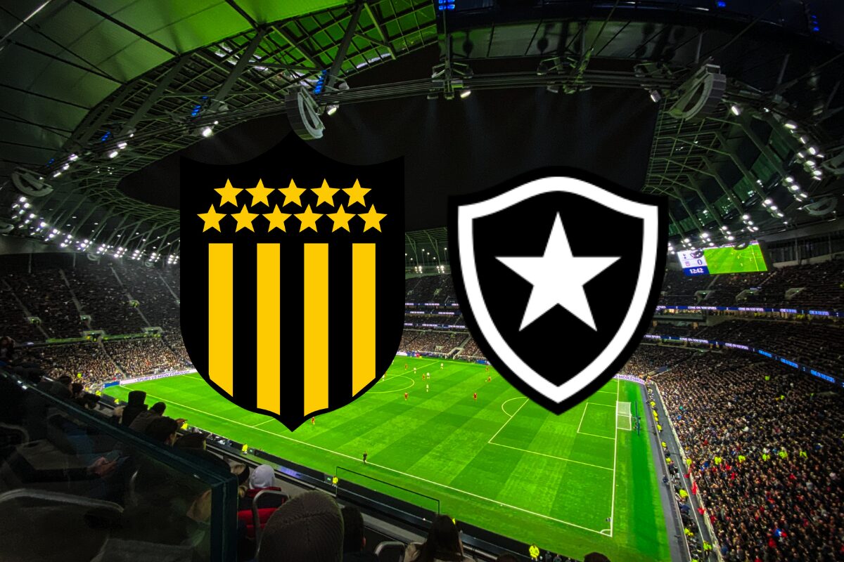 SBT? Onde assistir o jogo do Botafogo com o Penãrol na Libertadores hoje (30/10/24)