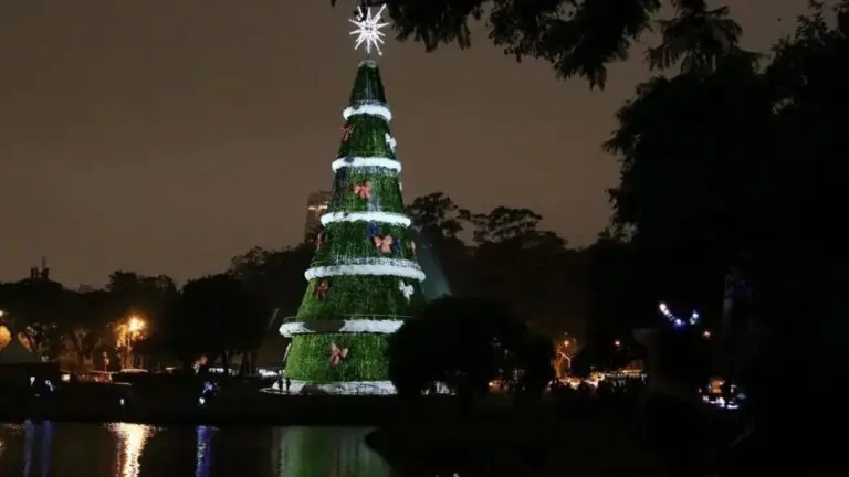 Quando inaugura a árvore de Natal no Ibirapuera 2024?