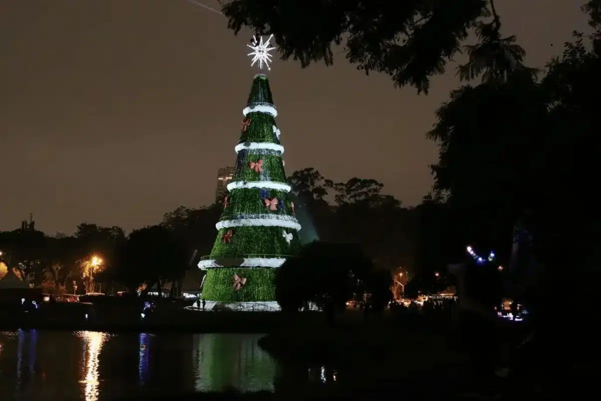 árvore de Natal no Ibirapuera