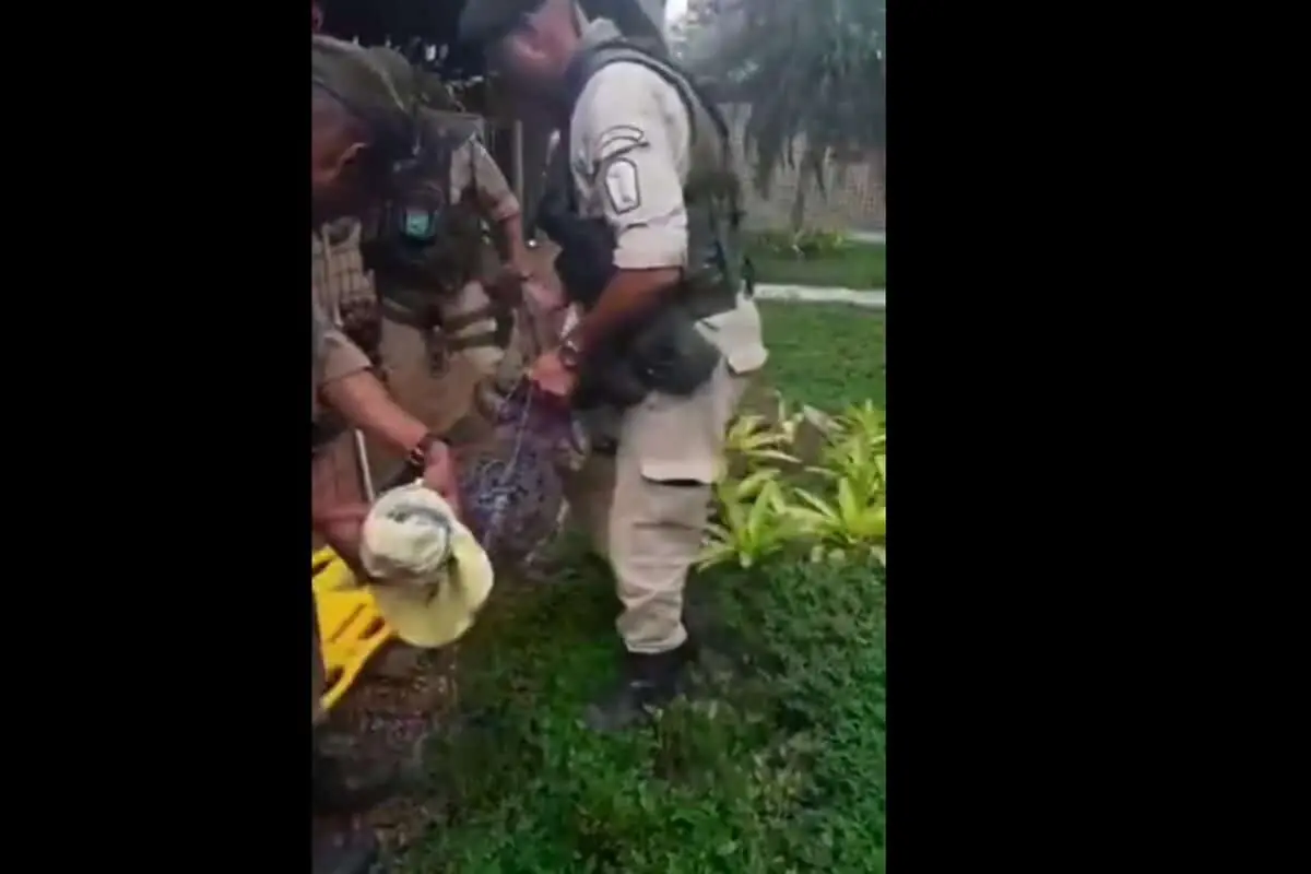 jacaré casa rio de janeiro