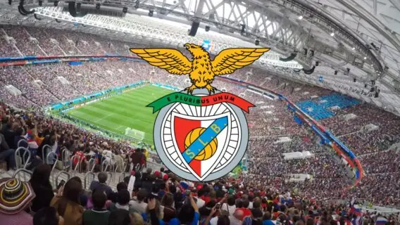 Jogo do Benfica hoje contra o Bologna: horário e onde assistir ao vivo (11/12/24)