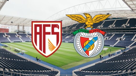 Jogo do Benfica hoje:  horário e onde assistir AVS x Benfica (15/12)