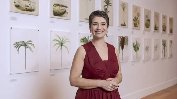 Horário da retrospectiva da Globo de 2024 e como assistir ao vivo (27/12)