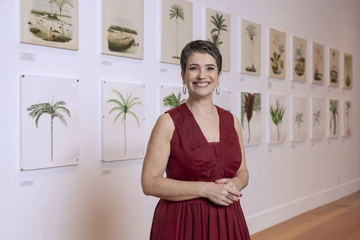 retrospectiva da Globo de 2024