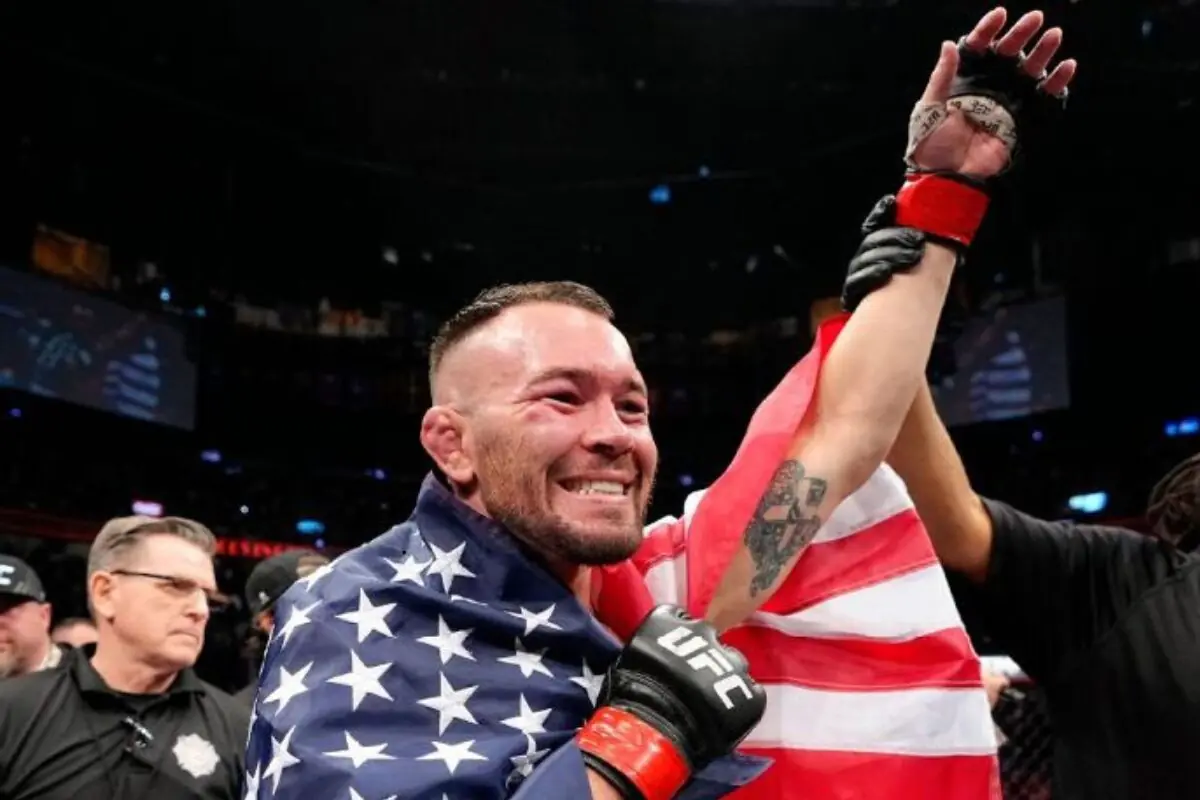 Horário do UFC hoje