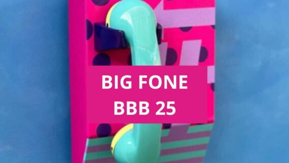 Quem atendeu o Big Fone do BBB 25 e quem está no paredão