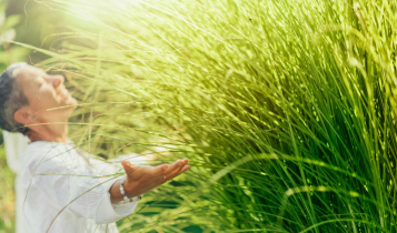 Versículo de prosperidade: palavras de abundância para começar a semana Versículo de prosperidade