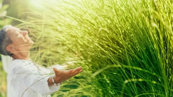 Versículo de prosperidade: palavras de abundância para começar a semana