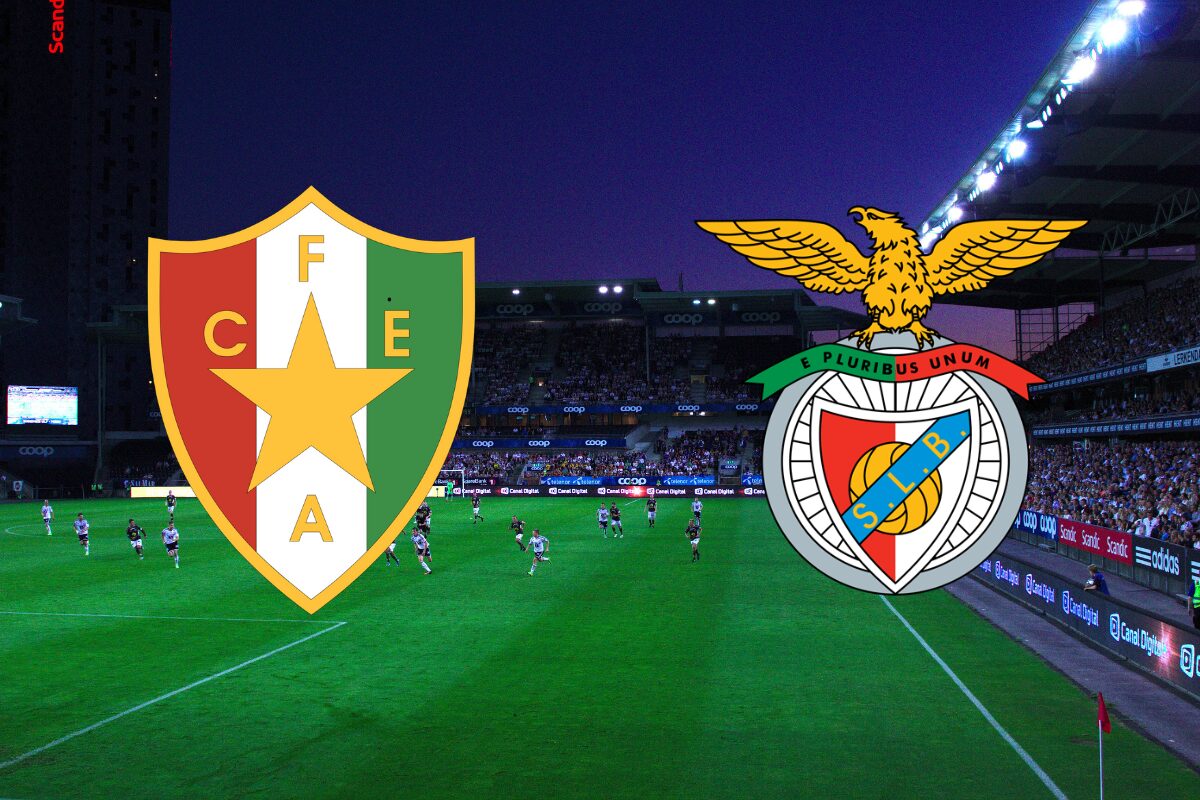 Jogo do benfica hoje hor rio e onde assistir estrela amadora x benfica