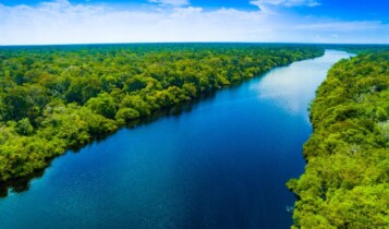 Campanha da Fraternidade 2025 aborda a Ecologia