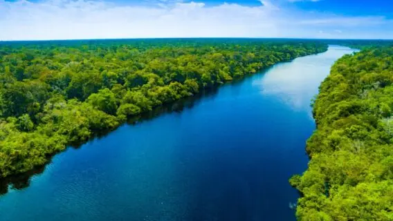 Tema da Campanha da Fraternidade 2025 aborda a Ecologia