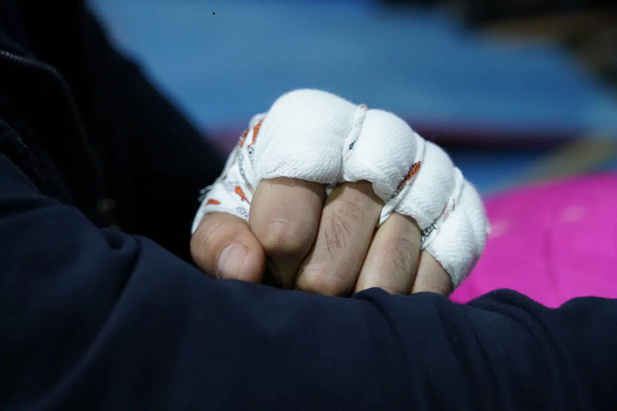 Onde assistir a luta do UFC hoje