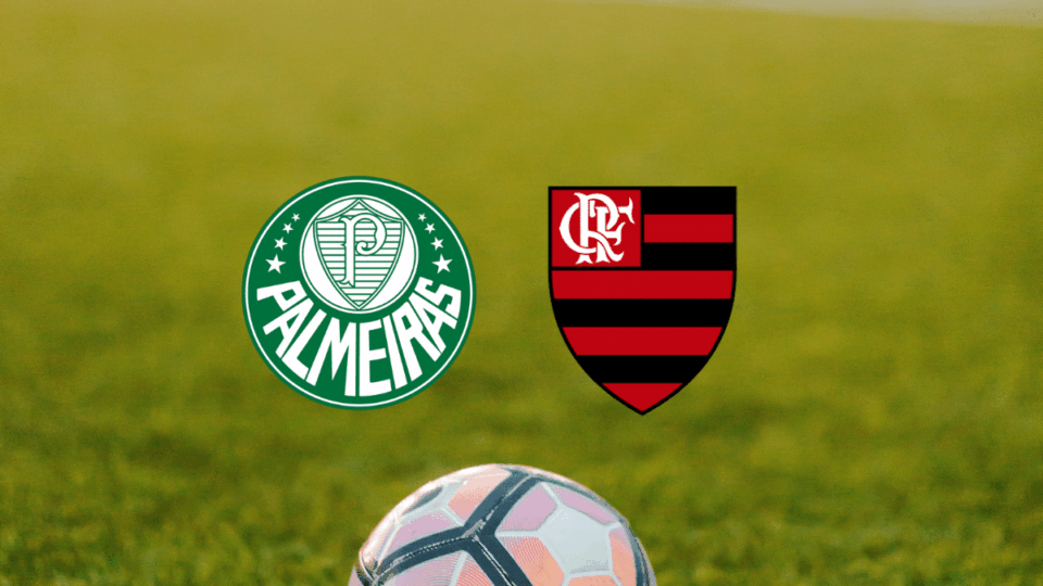 Onde assistir o jogo do Flamengo hoje x Palmeiras