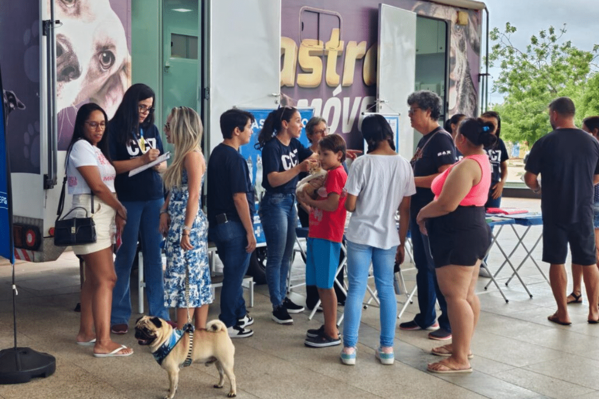 CCZ faz vacinação de cães e gatos em Shopping neste sábado CCZ