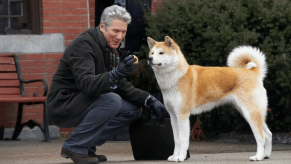 Sempre ao Seu Lado é uma história real? Verdade do filme da Sessão da Tarde