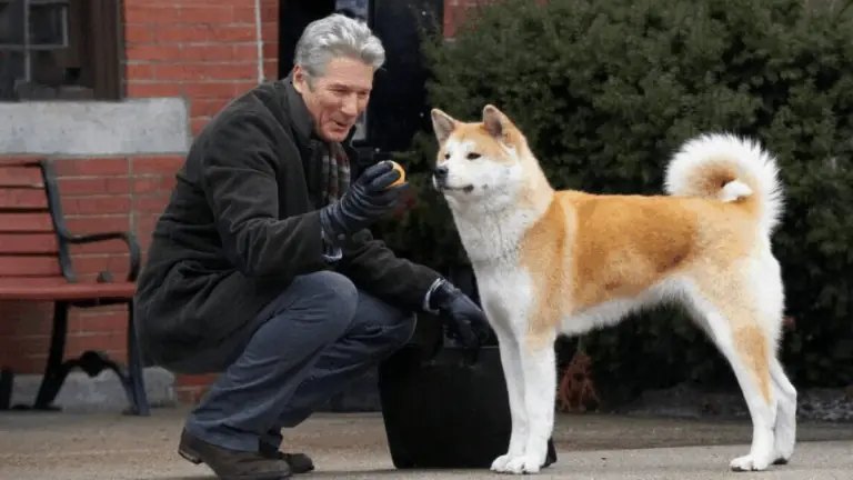 Sempre ao Seu Lado é uma história real? Verdade do filme da Sessão da Tarde