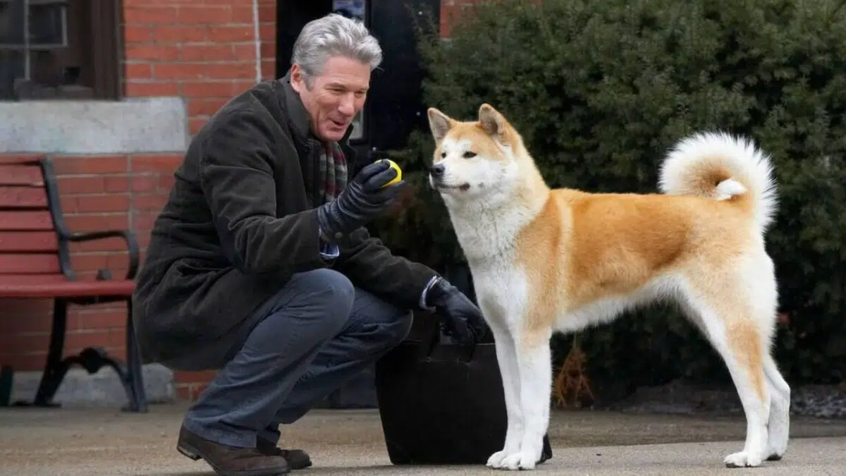 Sempre ao Seu Lado é uma história real