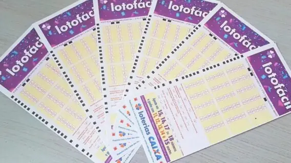 Confira o resultado da Lotofácil 3415 e números ganhadores de quarta (11/06)