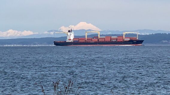 Navio com 3 mil carros pega fogo e é abandonado no Pacifico