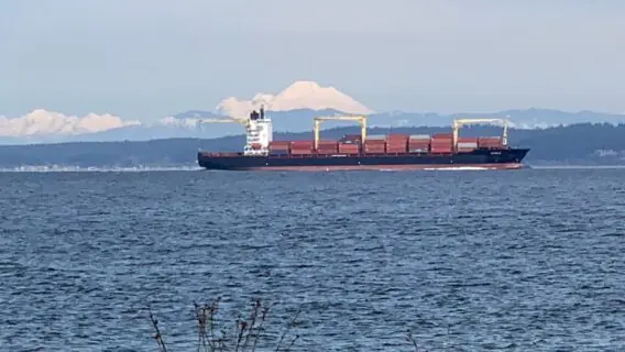 Navio com 3 mil carros pega fogo e é abandonado no Pacifico