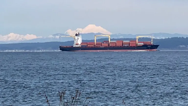 Navio com 3 mil carros pega fogo e é abandonado no Pacifico